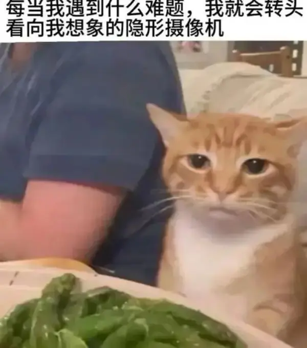  今日沙雕：耶穌被釘在十字架上，那十字架是不是可以叫訂酥機？宣傳圖26