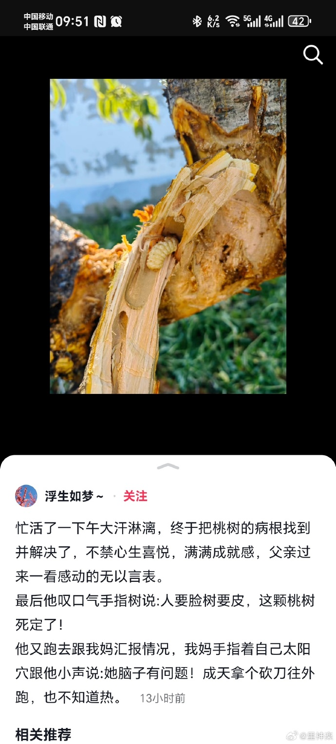 今日沙雕：古人有那么多封號，是不是說明古人很愛開掛？宣傳圖39