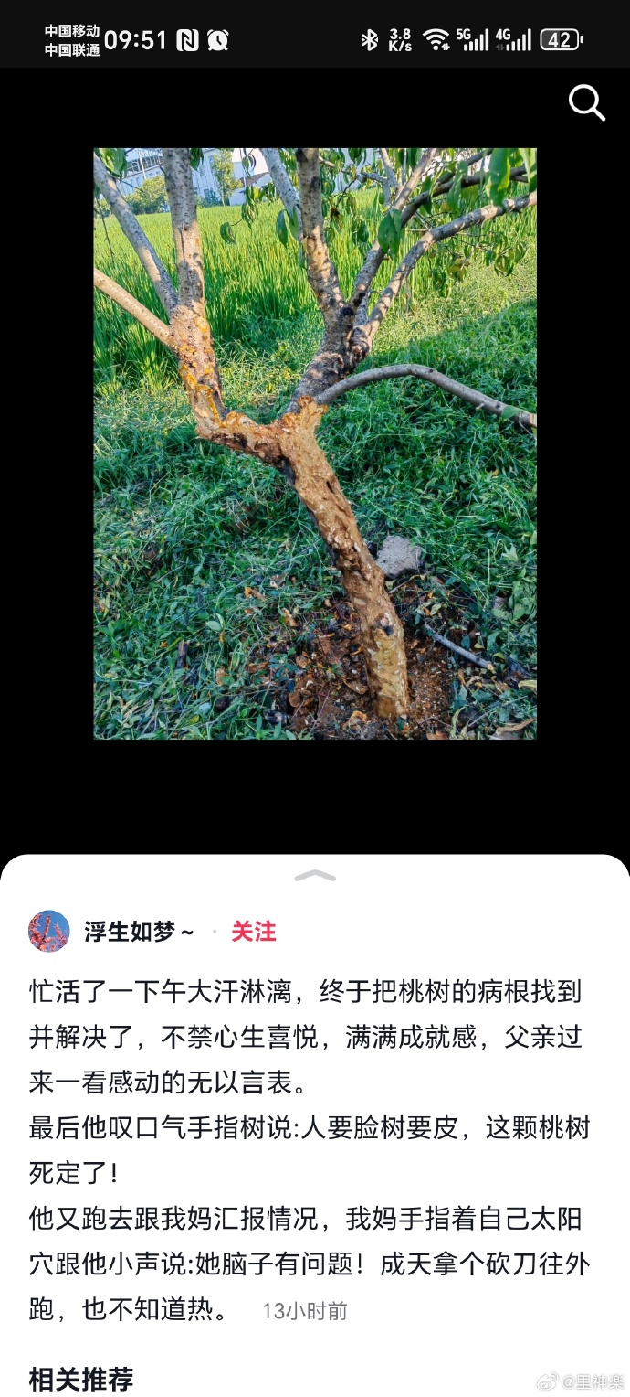 今日沙雕：古人有那么多封號，是不是說明古人很愛開掛？宣傳圖40
