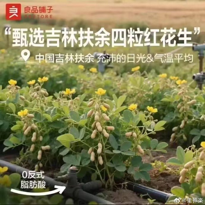  今日沙雕：全班第一名每次都是我們班的人，感覺有什么黑幕宣傳圖21