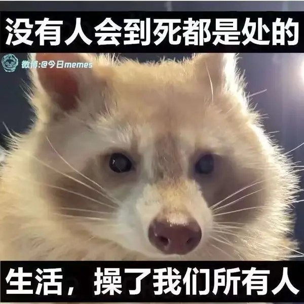  今日沙雕：全班第一名每次都是我們班的人，感覺有什么黑幕宣傳圖37