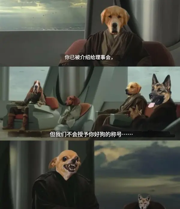  今日沙雕：全班第一名每次都是我們班的人，感覺有什么黑幕宣傳圖46
