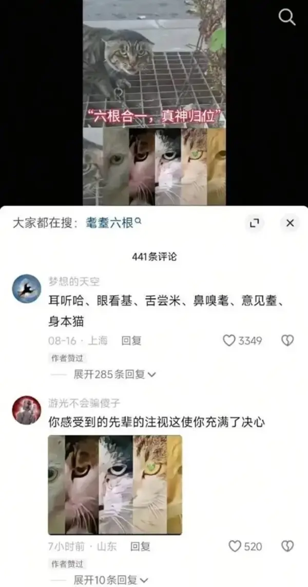  今日沙雕：全班第一名每次都是我們班的人，感覺有什么黑幕宣傳圖50