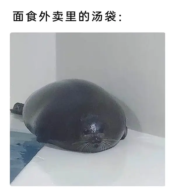  今日沙雕：全班第一名每次都是我們班的人，感覺有什么黑幕宣傳圖49