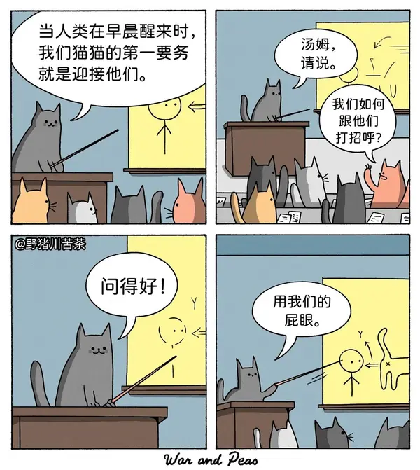  今日沙雕：全班第一名每次都是我們班的人，感覺有什么黑幕宣傳圖59
