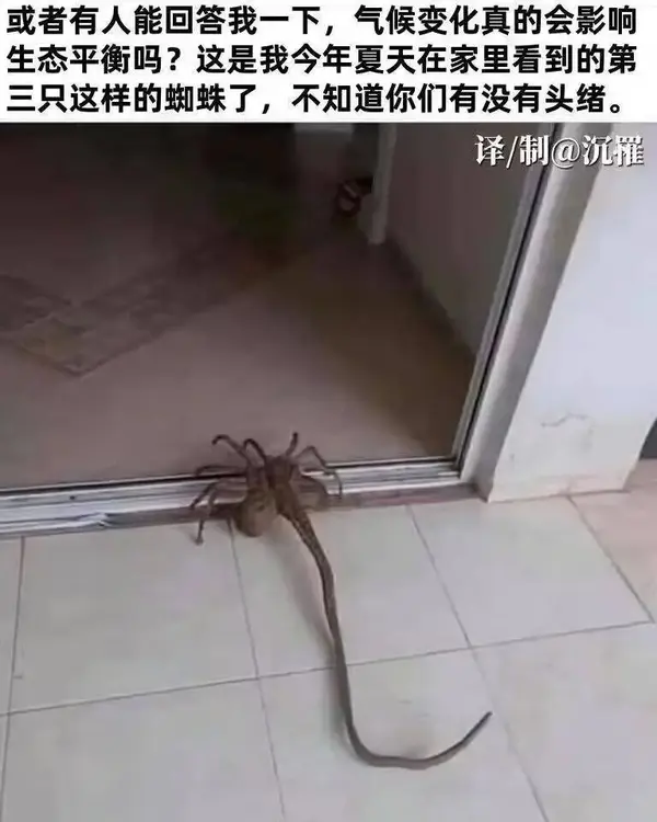 今日沙雕：妻子怪我天天拼夕夕加速助力,才懷上三個(gè)月就馬上要臨盆了宣傳圖51