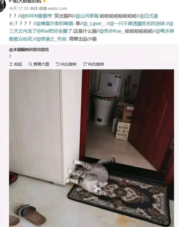 今日沙雕：妻子怪我天天拼夕夕加速助力,才懷上三個(gè)月就馬上要臨盆了宣傳圖89