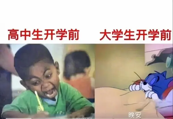 今日沙雕： 老王生前被譽(yù)為活字典，死后大腦被切片供人翻閱宣傳圖1