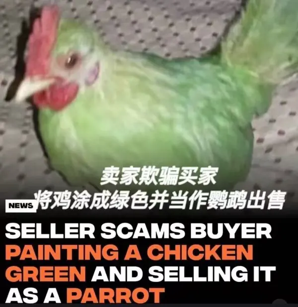 今日沙雕：天才就是百分之九十九的天才，加上百分之一的天才宣傳圖65