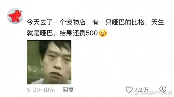 今日沙雕：天才就是百分之九十九的天才，加上百分之一的天才宣傳圖113