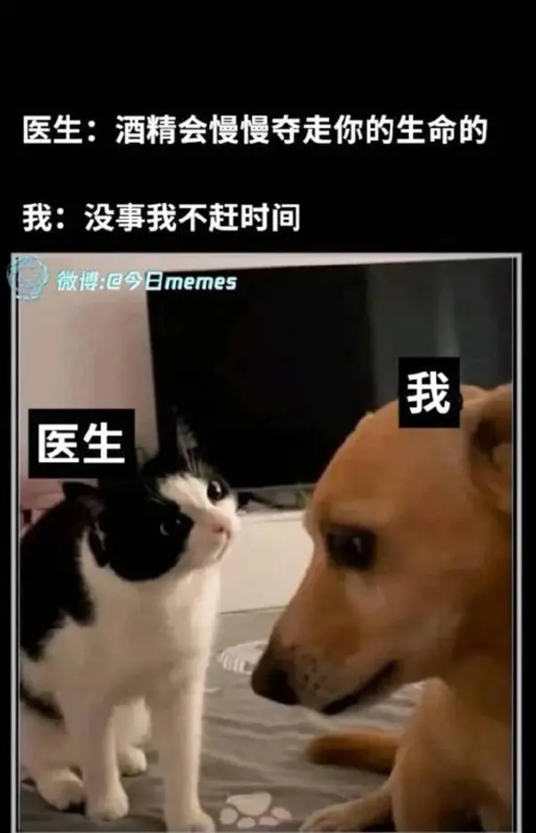 今日沙雕： 為什么山東大學在濟南，濟南大學在山東宣傳圖32