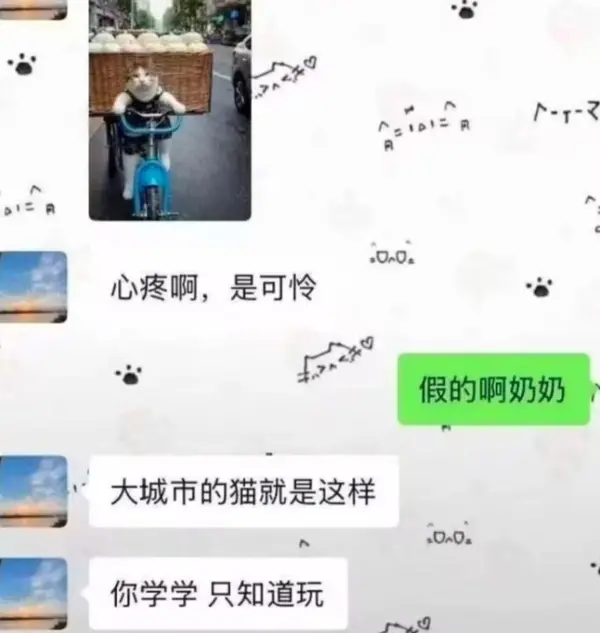 今日沙雕： 為什么山東大學在濟南，濟南大學在山東宣傳圖42