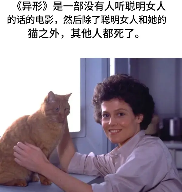 今日沙雕： 為什么山東大學在濟南，濟南大學在山東宣傳圖44