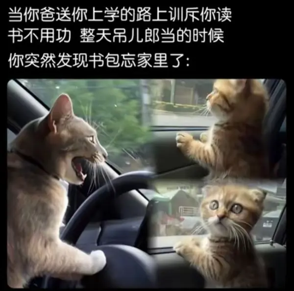 今日沙雕： 為什么山東大學在濟南，濟南大學在山東宣傳圖53