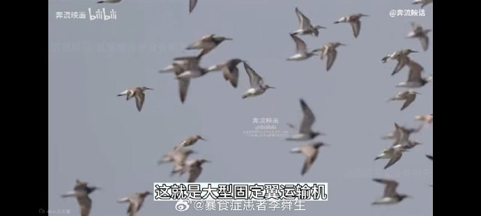 今日沙雕： 為什么山東大學在濟南，濟南大學在山東宣傳圖76