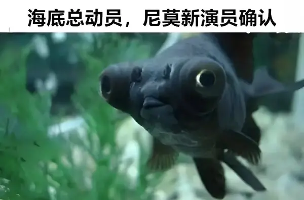 今日沙雕： 尋尋覓覓冷冷清清凄凄慘慘戚戚，自摸七小對(duì)宣傳圖4