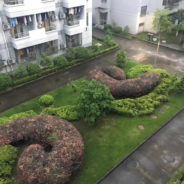 今日沙雕： 尋尋覓覓冷冷清清凄凄慘慘戚戚，自摸七小對(duì)宣傳圖12