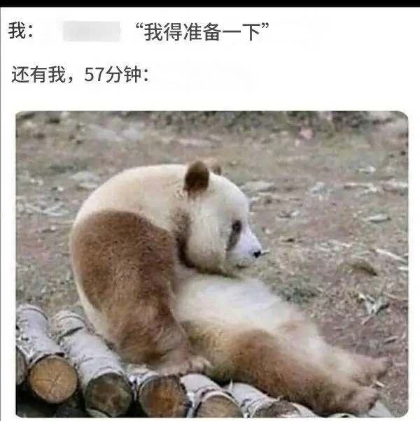 今日沙雕： 尋尋覓覓冷冷清清凄凄慘慘戚戚，自摸七小對(duì)宣傳圖57